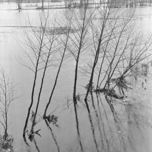 Spreewald um 1940. Überflutete Wiesen und Felder. : Błóta wokoło 1940. Přepławjene łuki a pola.