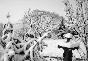 Staufen: Vom Park auf Schlossberg