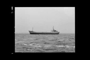Albatros (1970), Antarctis