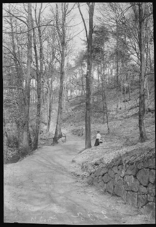 Kötzschenbroda. Niederlößnitz, Lößnitzgrund