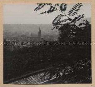 Neustadt/Weinstraße, Gesamtansicht von der Welschterrasse