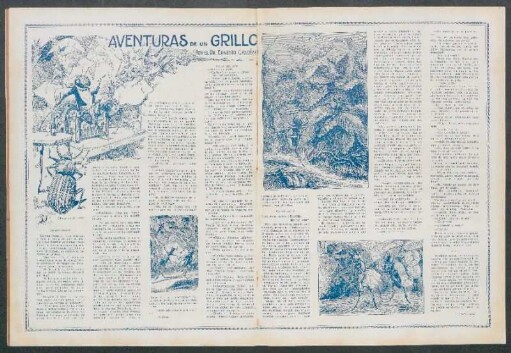 Aventuras de un grillo