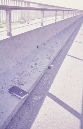 Mainbrücke, Hochheim