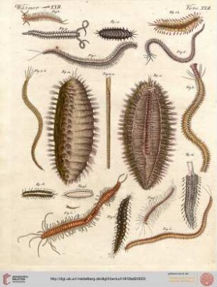 B.IX. No. 1 - B.VI. No. 10