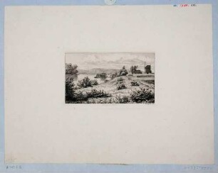Blick von Osten elbabwärts auf Schiffsmühle und Windmühle am rechten Elbufer in Kötitz bei Coswig westlich von Dresden