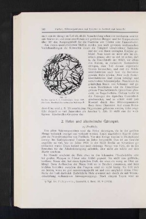 2. Hefen und alkoholische Gärungen.