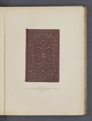 Plate XXXVII.