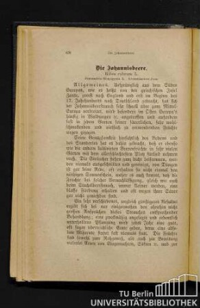 Die Johannisbeere. Ribes rubrum L.