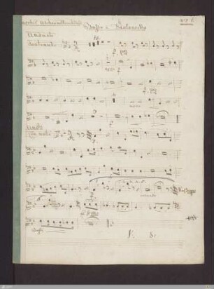 Violoncello und Kontrabass