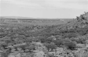 Im abessinischen Graben bei Metehara : Blick auf eine ebene Savannenlandschaft