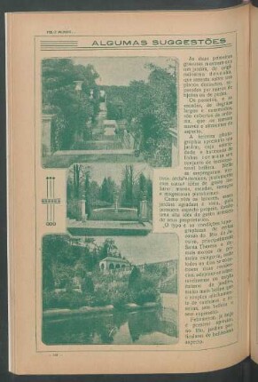 Algumas sugestões para os nossos jardins