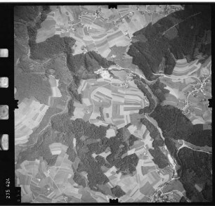 Luftbild: Film 77 Bildnr. 650