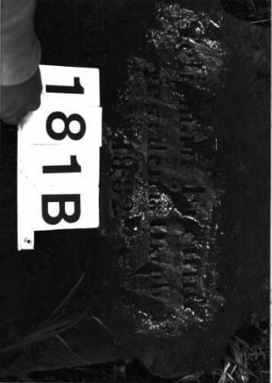 Grabstein 181 (Index: 99897880) Zustand: liegend: Grabstein 181B