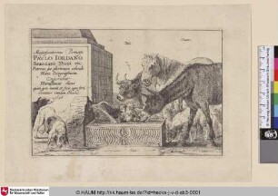 [Verschiedene Tiere aus einem Brunnen trinkend; The animlas at a fountain]