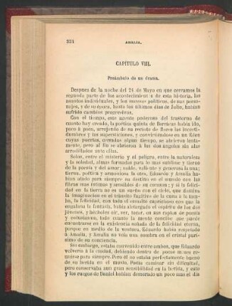 Capítulo VIII. - Preámbulo de un drama.