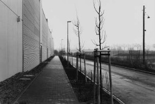 Neubau im Großen Ostragehege oder im Bereich des Alberthafens ?