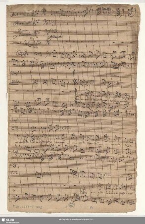 Senocrita. Excerpts - Mus.2477-F-502 - Mus.2477-F-502a : S, strings, bc