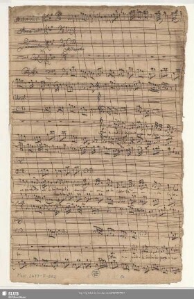 Senocrita. Excerpts - Mus.2477-F-502 - Mus.2477-F-502a : S, strings, bc
