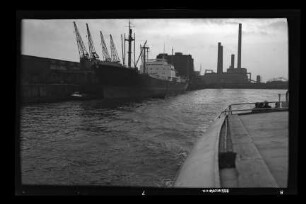 Albert Janus (1958), Frigga, Hamburg