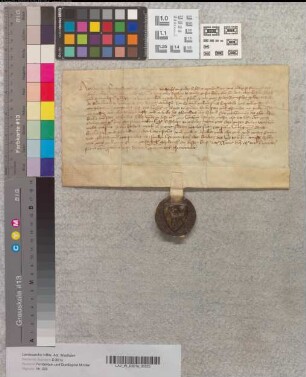 Revers Wedekinds V. zum Berghe (von dem Berge), Vogts von Minden, wegen des ihm von Bischof Otto verpfändeten Wichgrafen-Amtes.