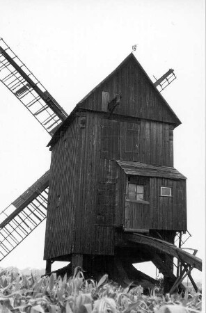 Lebusa. Bockmühle