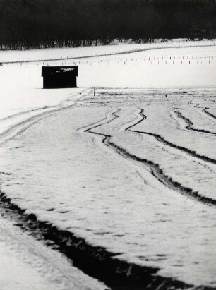 Winterliche Ackerlandschaft