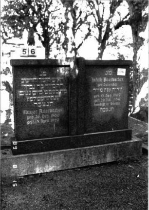 Grabstein 56 (Index: 100105511) Material: Granit Zustand: gut Maße HxBxT: 125x139x16 cm Beschreibung: Stele, breit, in der Mitte durch erhabene Pfeiler getrennt, getreppter Sockel, Abdeckplatte Besonderheit: Doppelgrab für Eheleute; - Gedenkinschrift: Judith Auerbacher wurde in Stettin beerdigt: Grabstein 56
