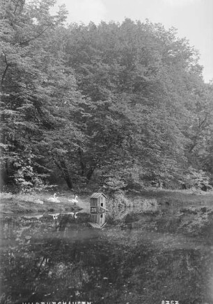 Irrgarten