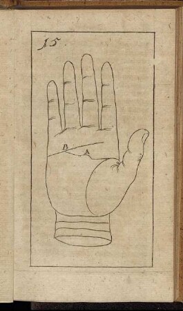 [Abb.] 15.