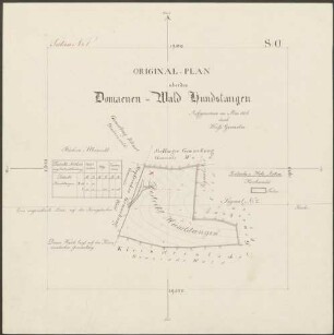 Original-Plan über den Domaenen-Wald Hundstangen. Section No. 1