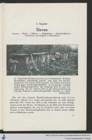 5. Kapitel. Slaven.