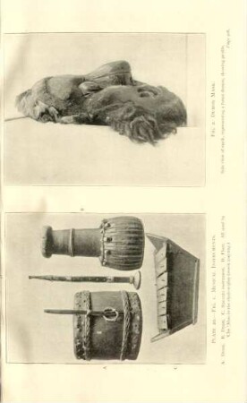 Plate 20. - Fig. 1. Musical instruments. Fig. 2. Demon mask