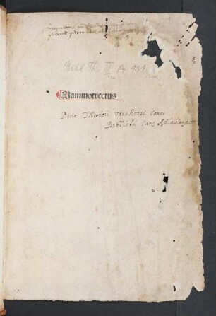 Mammotrectus super Bibliam