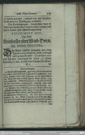 Experiment. XLVI. Von dem Beinfresser oder Wind-Dorn