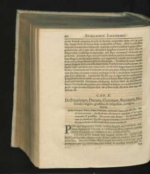 Cap. X. De Principum, Ducum, Comitum, Baronum, Nobilium Origine, gradibus & insignibus, in regno Sveciae.