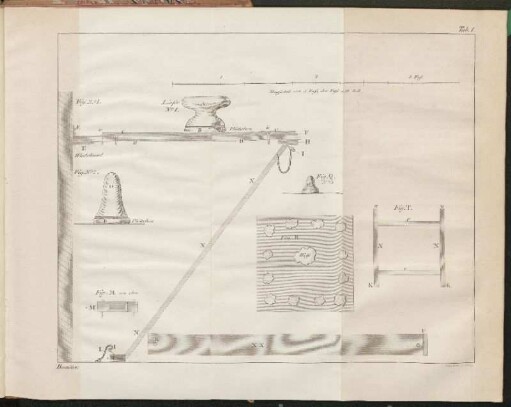 Abbildungen [Taf. I - Taf. VII.]