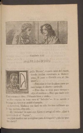 Capítulo VII - Asalto a la Quinta