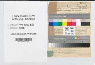 Entnazifizierung Wilhelm Steinhaeuser, geb. 20.02.1900 (Lehrer)