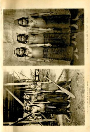 Taf. 10. Junge Frauen der Mahakam Kajan. Junge Mädchen der Mahakam Kajan