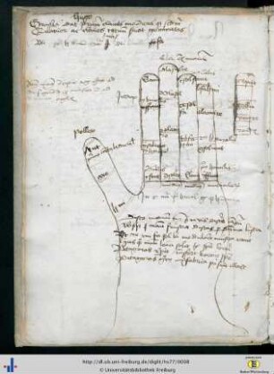 (2v) Guidonische Hand.