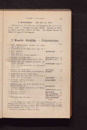 2. Familie: Steißfüße - Colymbidae.