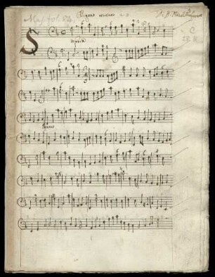 Beatus vir : Stimmen