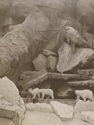 "Nordland-Panorama" in Carl Hagenbecks Tierpark, Stellingen