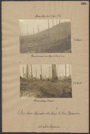 Barrenkopf-Kamm
