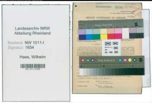Entnazifizierung Wilhelm Haas , geb. 14.01.1899 (Stadtamtmann)