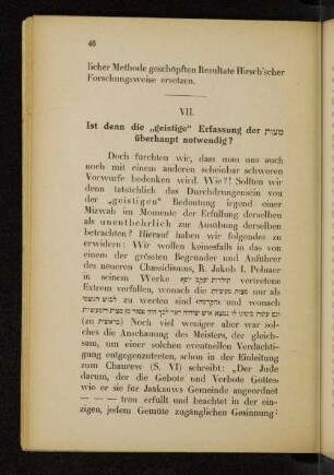 VII. Ist den eine "geistige" Erfassung der "..." überhaupt notwendig?