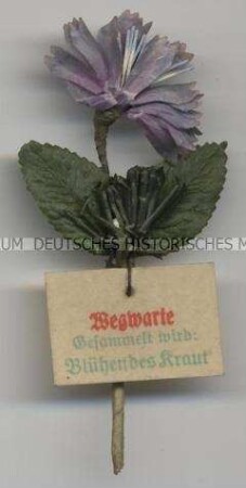 WHW-Abzeichen, Heilpflanzen: Wegwarte, 7. Reichsstraßensammlung vom 29./30. März 1941