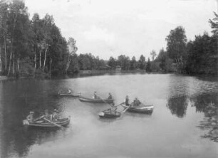 Tharandter Wald. Seerenteich