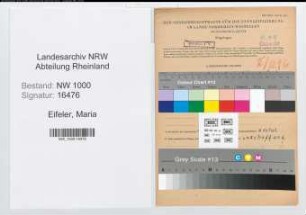Entnazifizierung Maria Eifeler, geb. 15.09.1919 ()