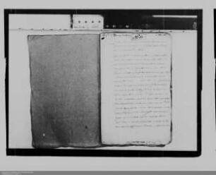 Fürstin Albertine Agnes von Nassau-Diez ./. Graf Adolf von Nassau-Schaumburg: Grenzstreitigkeiten bei Beilstein